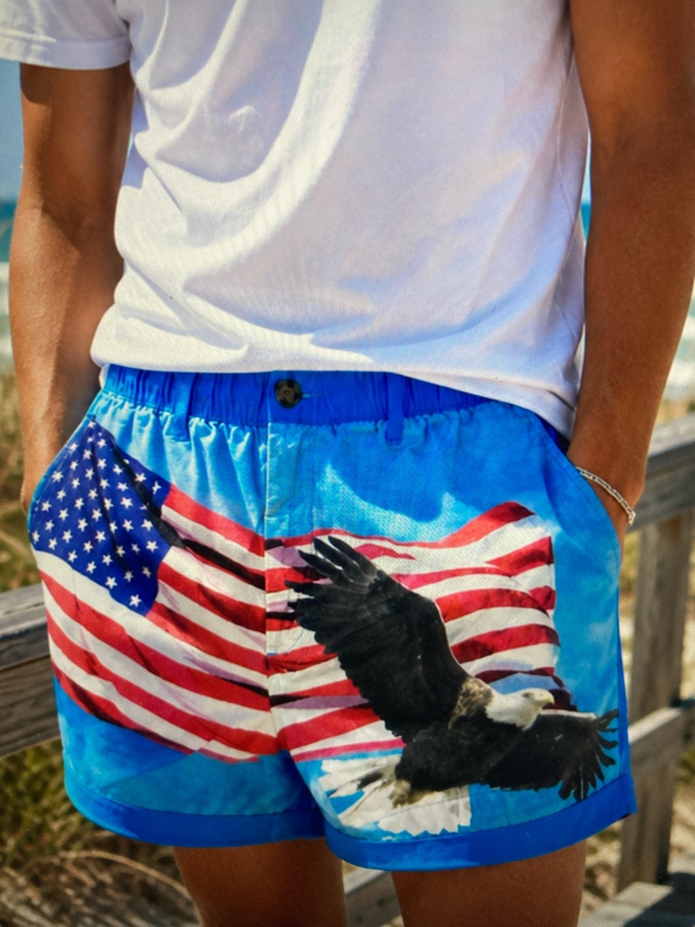 Chubbies American Flag Rare Graphic Shorts S616